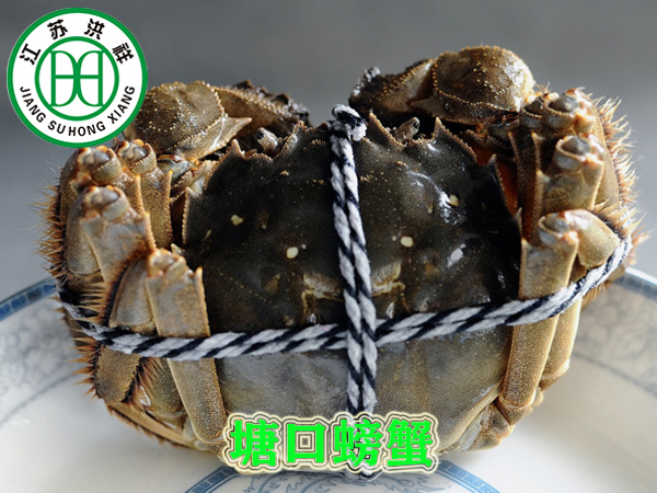 汽車用鋼