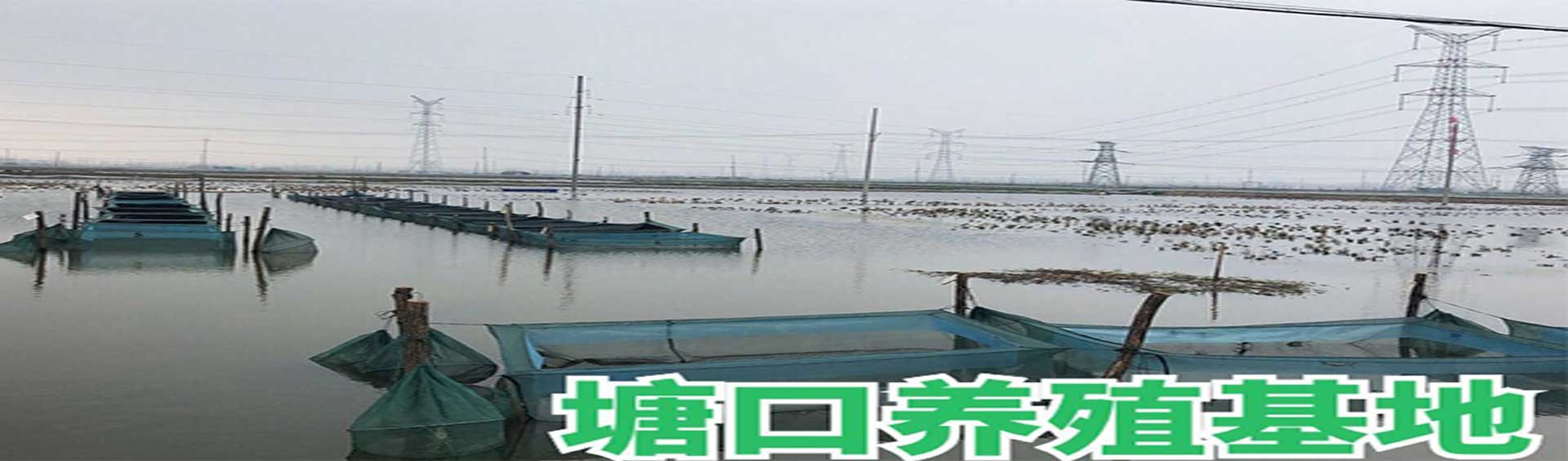 模具鋼